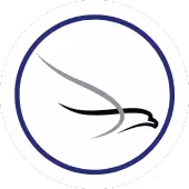 Hawkins Flight Academy Logo